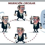 Migración circular.jpg